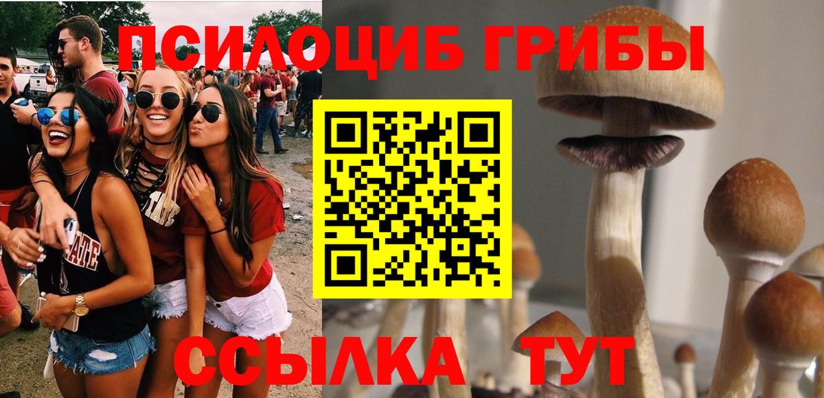 Псилоцибиновые грибы мухоморы Долгопрудный