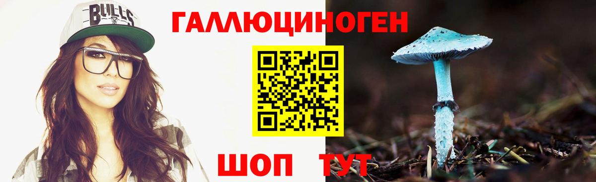 Псилоцибиновые грибы прущие грибы  Вход с VPN  Долгопрудный  Псилоцибиновые грибы MAGIC MUSHROOMS 