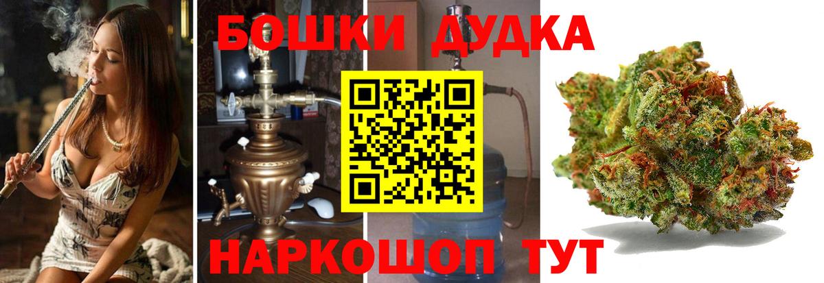APVP Долгопрудный